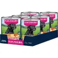 Eukanuba Senior Rig på kalkun med gulerødder - 6 x 400 g