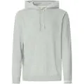 Pepe Jeans Pepe Jeanstil mænd. PM7000009 Sweatshirt Andre grå (L), Casual, Bomuld