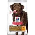 Hills Hundefoder Til Store Racer Med Kylling (h604315) 12kg