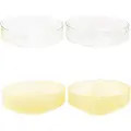 Brut Homeware - Skål Claude 4-pak - Transparent - Skåle - - Homeroom