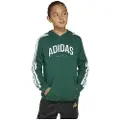 Adidas Codes Collegiate Graphic Hættetrøje