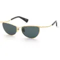 Nina Ricci Snr406 Cat Eye Solbriller Til Kvinder