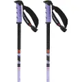 Salomon Steep Pro S3 Spadserestokke