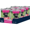 Eukanuba Puppy Rig på okse med græskar - 6 x 400 g