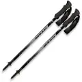 Fizan Compact 4 Trekking Pole, grå