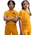 Nike Kortærmet Erling Haaland Academy Dri-FIT-fodboldtrøje til større børn - gul