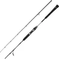 Penn Prevail Iii Jigging Stang