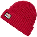 Protest Worsley Beanie