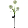 Forever Light Solcelleblomst LED 3000K - Hvidløgsblomst
