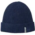 Passenger Compass Recycled Beanie blå