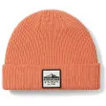 Smartwool Patch Beanie