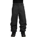 Volcom Arthur 20K Bukser sort