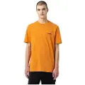 Dickies Artondale Box T-shirt Med Korte ærmer