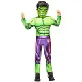 Rubies Hulk Børnekostume