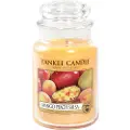 Yankee candle Mango Peach Salsa 623g Lys
