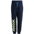 Reebok Essentials Big Logo French Terry Bukser