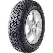 Maxxis WP-05 Arctictrekker