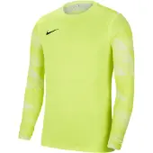 Nike Bluza bramkarska vyriška Dry Park IV JSY LS GK limonkowa CJ6066 702 (XL)