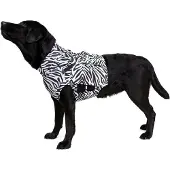 Medical Pet Shirt Medical Pet Top Shirt Zebra - L