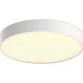 Philips Hue Enrave Stor Loftlampe - Hvid