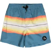 Quiksilver Resin Tint 14 Badeshorts