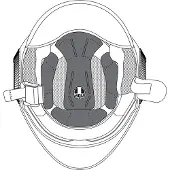 AGV Orbyt Inderforing