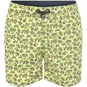 Hackett Sea Turtles Badeshorts