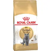 Royal Canin Adult British Shorthair kattefoder
