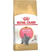 Royal Canin British Shorthair Kitten Kattefoder - 10 kg