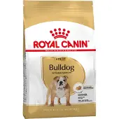 Royal Canin Adult Bulldog hundefoder