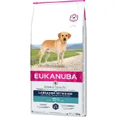 Eukanuba Adult Breed Specific Labrador Retriever - Økonomipakke: 2 x 12 kg