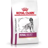Royal Canin Veterinary Canine Renal Select - Økonomipakke: 2 x 10 kg
