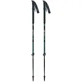 Masters Skitour Pro Spadserestokke