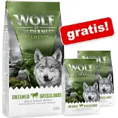 Wolf of Wilderness Økonomipakke: 2 x 12 kg - Elements: Untamed Grasslands Hest