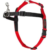 Company of animals Træningssele - Str. S: Brystvidde 36 - 64 cm