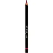 Stendhal Crayon Lèvres Précision 303 Læbeblyant