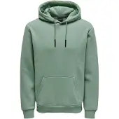 Only & Sons Sweatshirt 'Ceres' lysegrøn