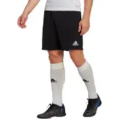 Adidas Entrada 22 Training Shorts