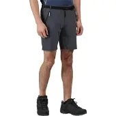 Regatta Xert Stretch Iii Shorts