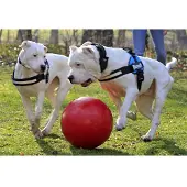 Jolly Push-n-Play - Blå - 15 cm