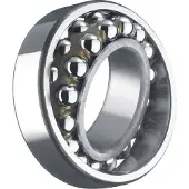 Skf Leje 1204 ETN9