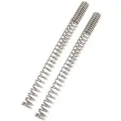 Wirth Federn Progressive Gaffelfjedre BMW G 650 X /HP2