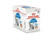 Royal Canin Indoor Sterilized Vådt kattefoder Stykker i sauce 12x85gram