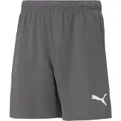 Puma Sportsbukser 'TeamRise' grå / hvid