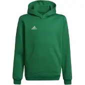 Adidas Hættetrøje - Ent22 Hoody Y - Teagrn/White - - 16 år (176) - Hættetrøje