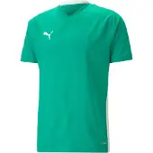 Puma Trænings T-Shirt teamCUP - Grøn/Hvid, størrelse Large