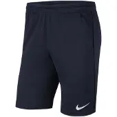 Nike Dri Fit Park Knit Shorts