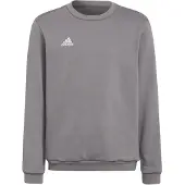 Adidas Sweatshirt Entrada 22 - Grå Børn, størrelse 128 cm