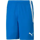 Puma Shorts teamLIGA - Blå/Hvid, størrelse Small