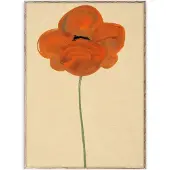 Paper Collective Orange Vallmo plakat 30x40 cm